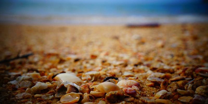 亲子户外活动设计：解锁大自然中的儿童成长与育儿教育契机