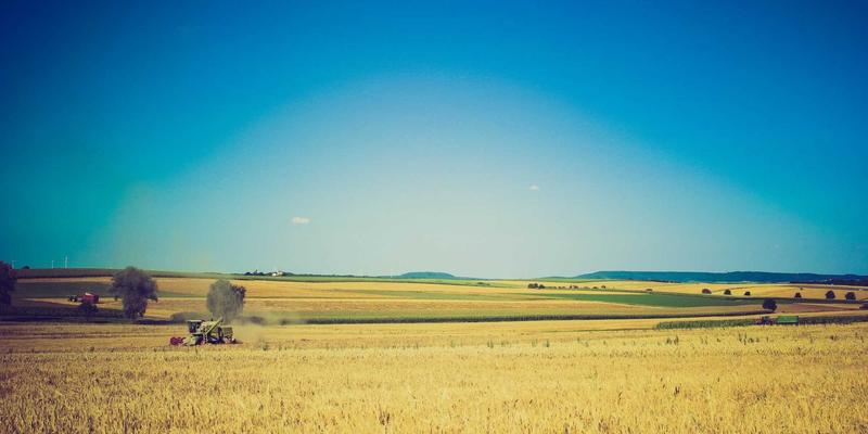 亲子教育21：融合传统智慧与现代科学的家庭教育新范式