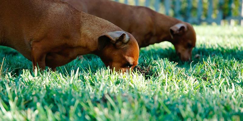 亲子教育40：三大核心策略，让亲子活动成为育儿经验的宝藏