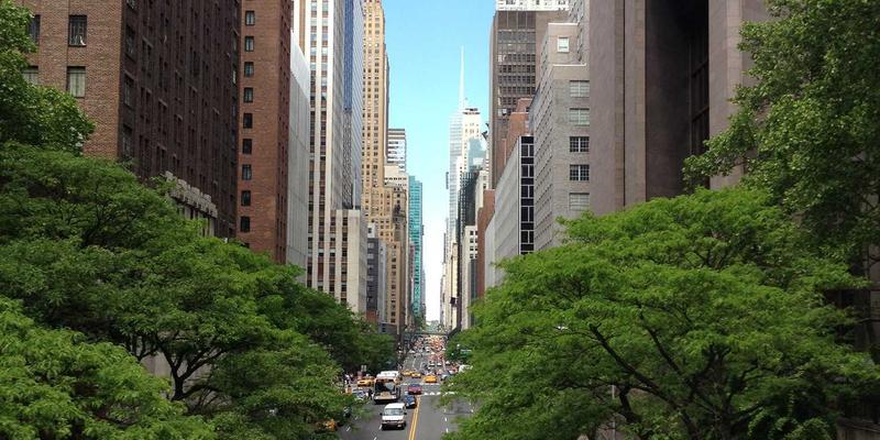 亲子教育52：用爱与智慧点亮儿童成长之路 | 育儿知识与亲子活动全指南