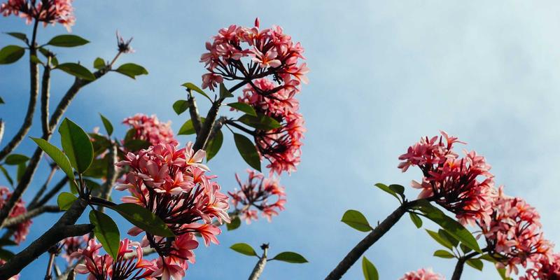 亲子教育55：融合育儿知识与经验，构建和谐家庭教育生态