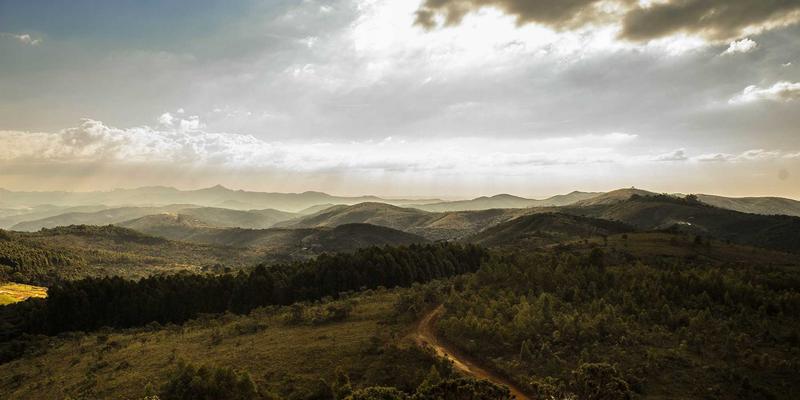 亲子教育56：融合育儿经验、知识与活动的三位一体教养法