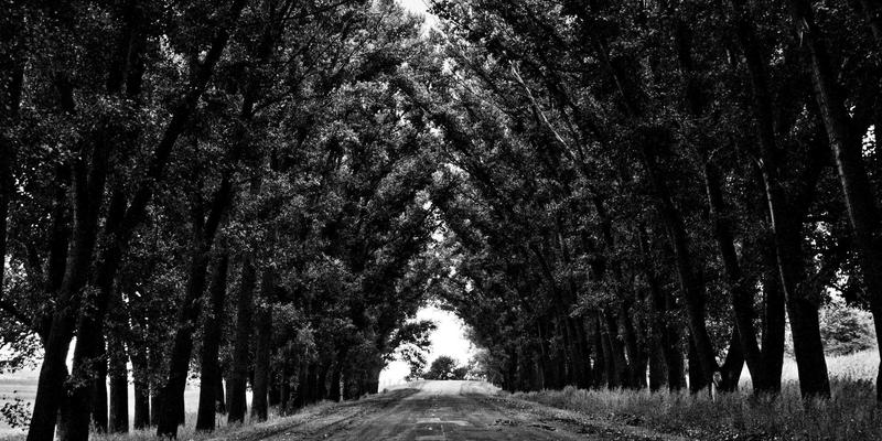 亲子教育58：科学育儿经验与成长陪伴指南，让亲子活动赋能儿童成长