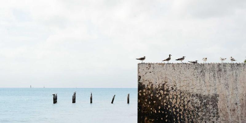 亲子教育60：用高质量亲子活动点亮儿童成长之路