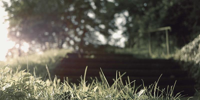 亲子教育应用：数字时代下，如何用科技赋能儿童成长与家庭育儿