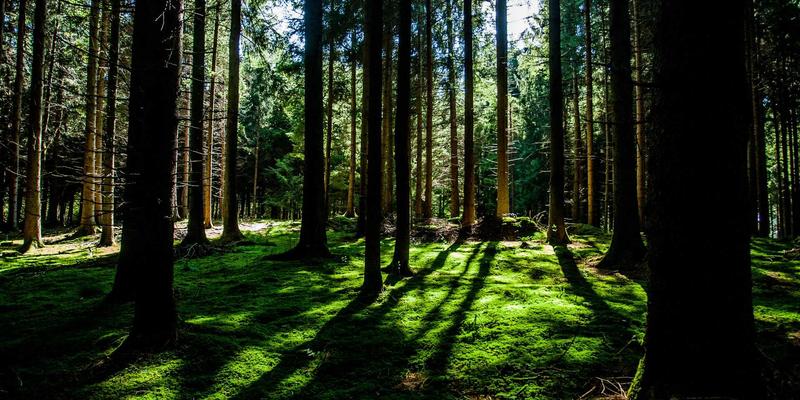 亲子教育新视角：融合趣味活动与科学知识，打造高质量陪伴