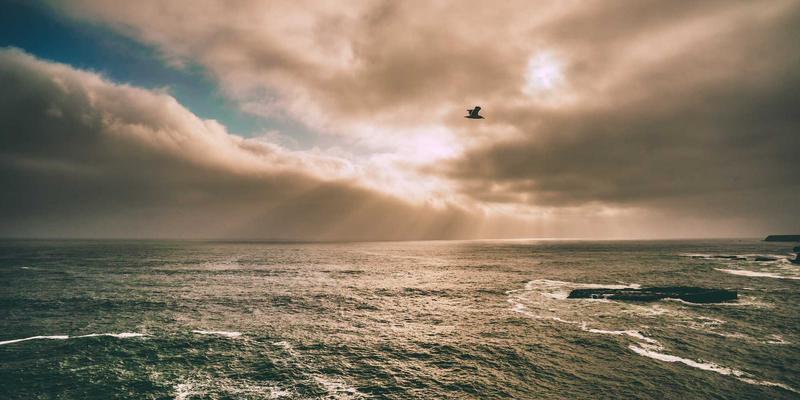 制定电子产品家庭公约：现代家庭教育中平衡数字生活与真实互动的育儿智慧