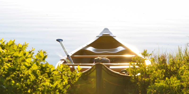 家庭会议实践指南：让孩子参与决策的亲子活动，培养民主意识与责任感