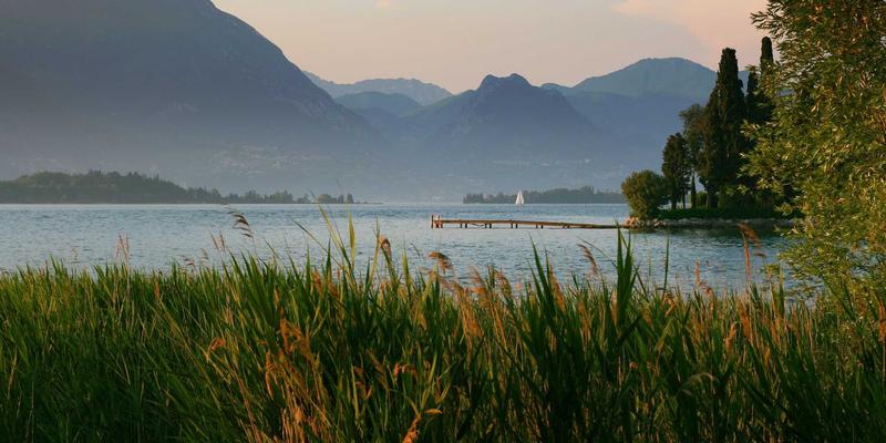 家庭教育如何科学助力儿童成长？掌握这3个核心育儿知识