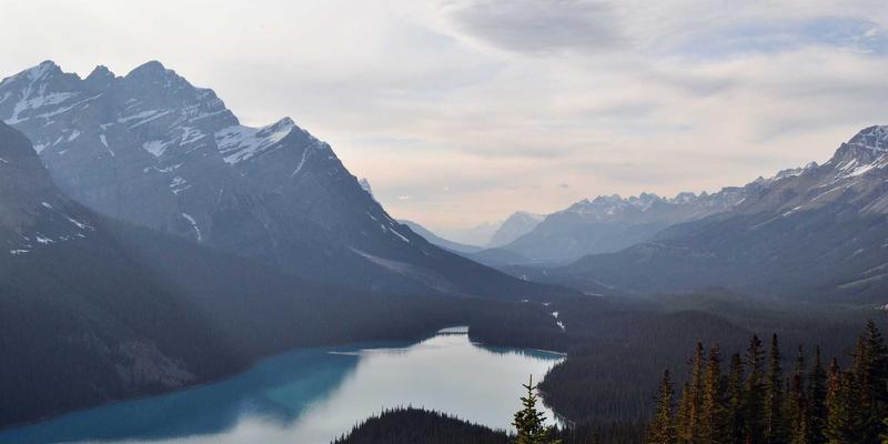 家庭教育必修课：解锁儿童社会情感能力的家庭培养路径与活动设计