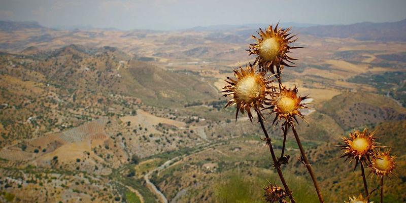 情绪教养：掌握亲子教育中的育儿知识，帮助孩子识别与管理情绪