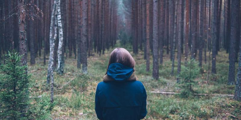 数字原住民时代的亲子媒介素养共育方案：构建健康家庭数字生态的三大路径