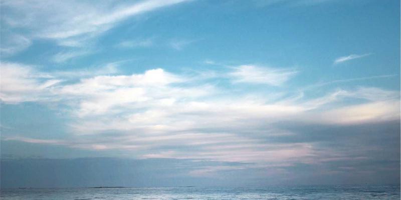 科学育儿与高质量陪伴：解锁亲子教育的核心密码