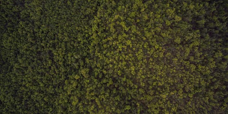 育儿经验分享：用阶梯式亲子活动，开启家庭性教育启蒙的科学对话