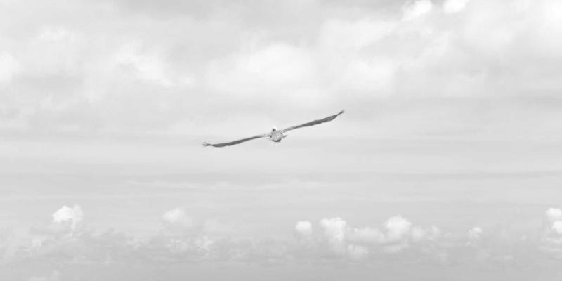 高质量亲子陪伴的实践策略：从‘在场’到‘同在’的育儿经验转变